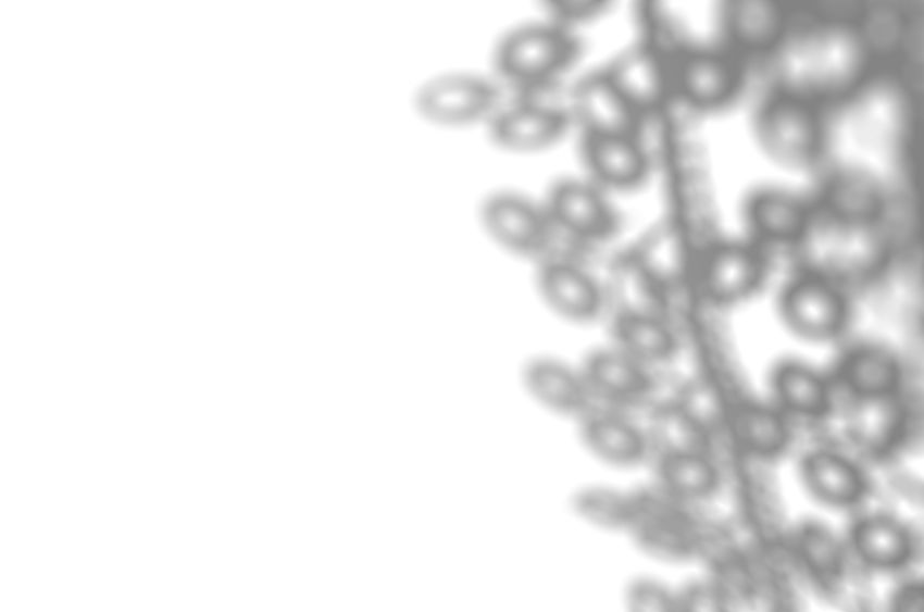 La pièce menant à l’espoir