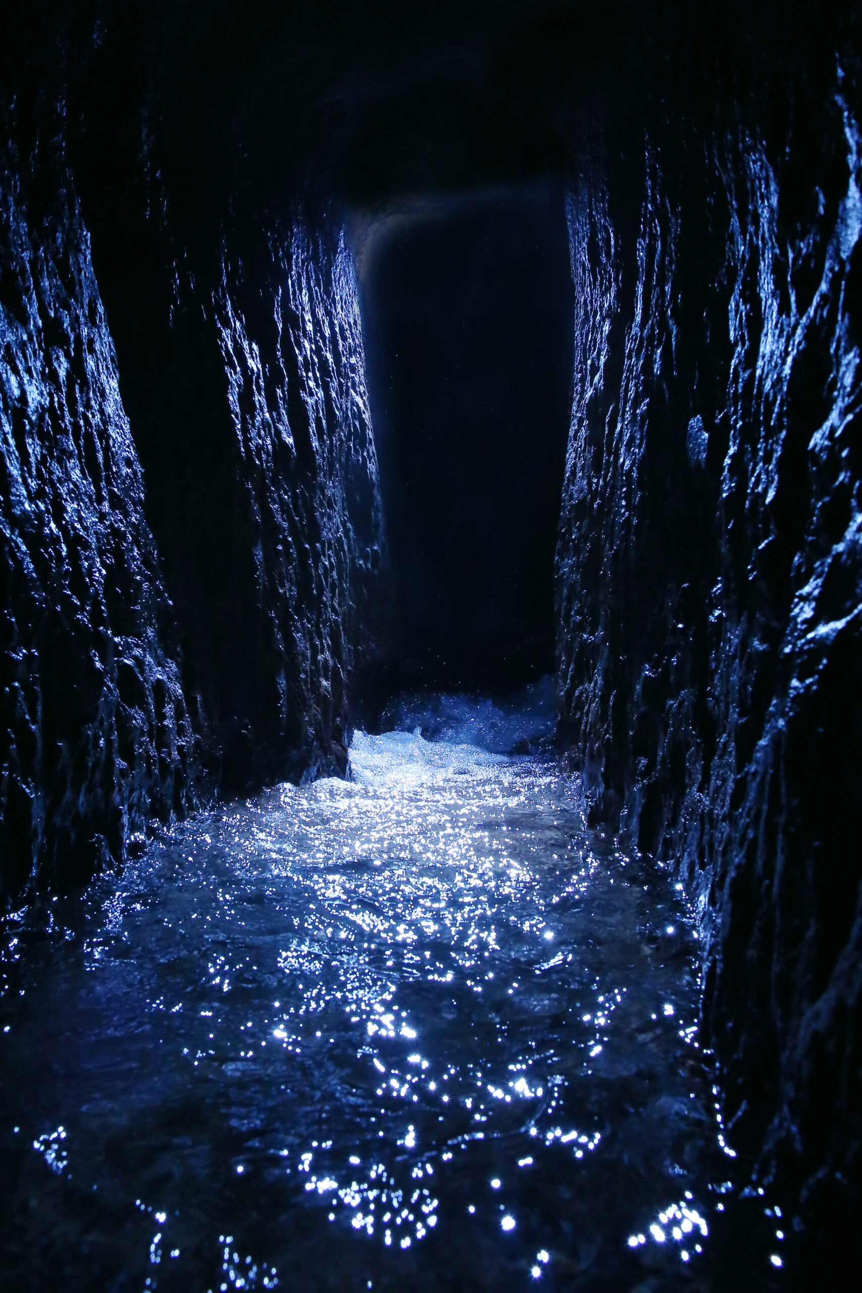 Ne t’affole pas et ne cède surtout pas à la panique !