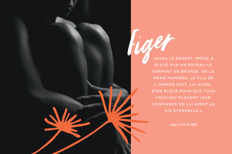 Partie 3 Combattre, fuir ou figer : s’immobiliser est-elle la solution ?